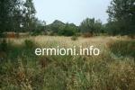 GL 0198 - Coastal Land - Dardiza - Ermioni